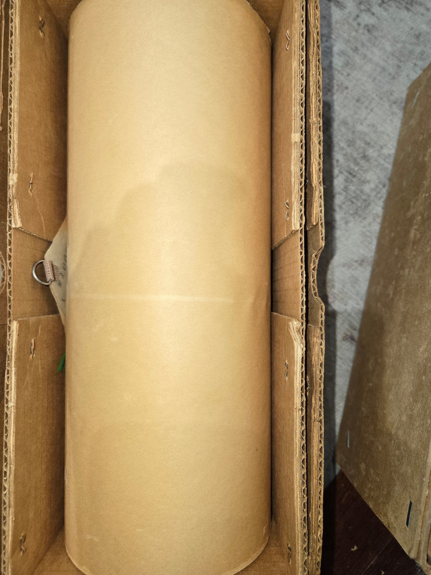 A-roll A-1003 RECUT Nickelodeon Roll Popularity Plus CALLIOPE