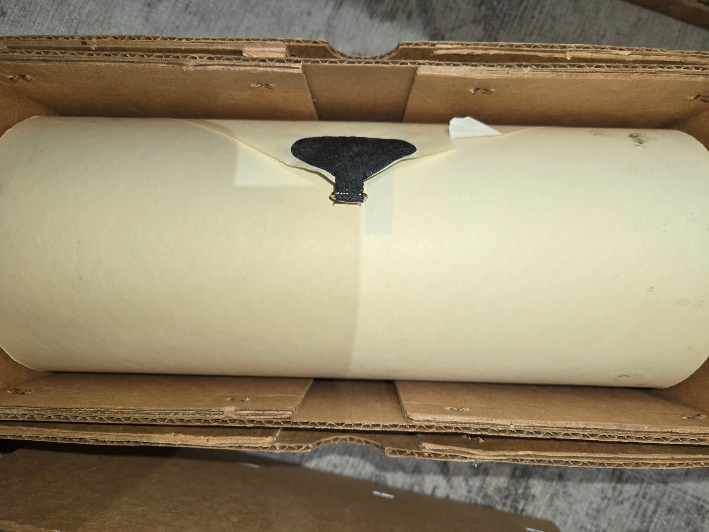 4X-Roll 4X-362 RECUT Nickelodeon Roll Popular Pickin's