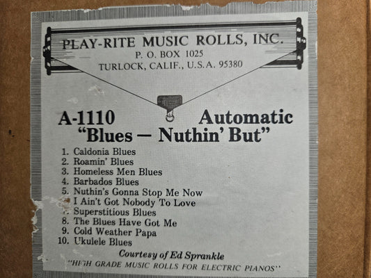 A-Roll A-1110 RECUT Nickelodeon Roll Blues- Nuthin But