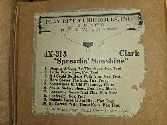 4X-Roll 4X-313 RECUT Nickelodeon Roll Spreadin Sunshine