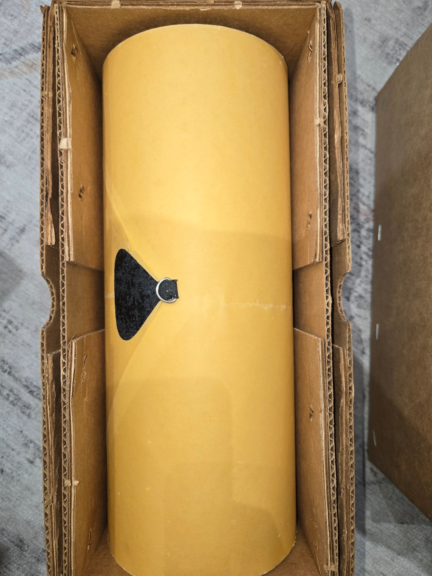 A-Roll A-919 RECUT Nickelodeon Roll Plum Full O Harmony Tangley